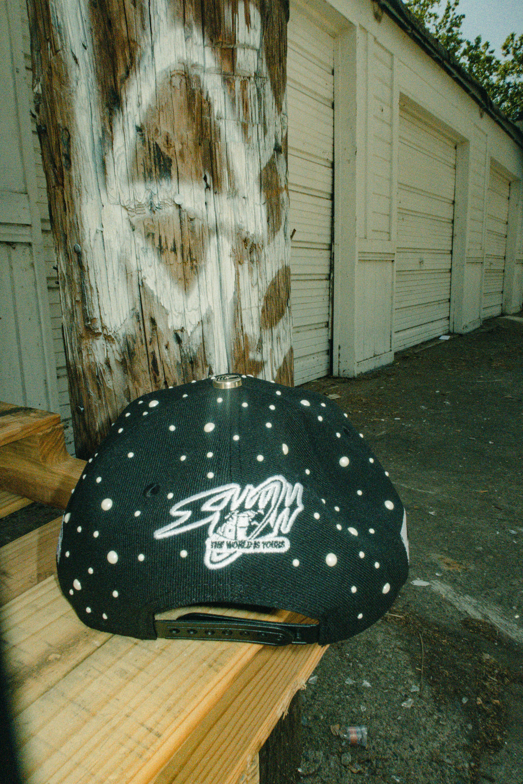 The World Is Yours Hats