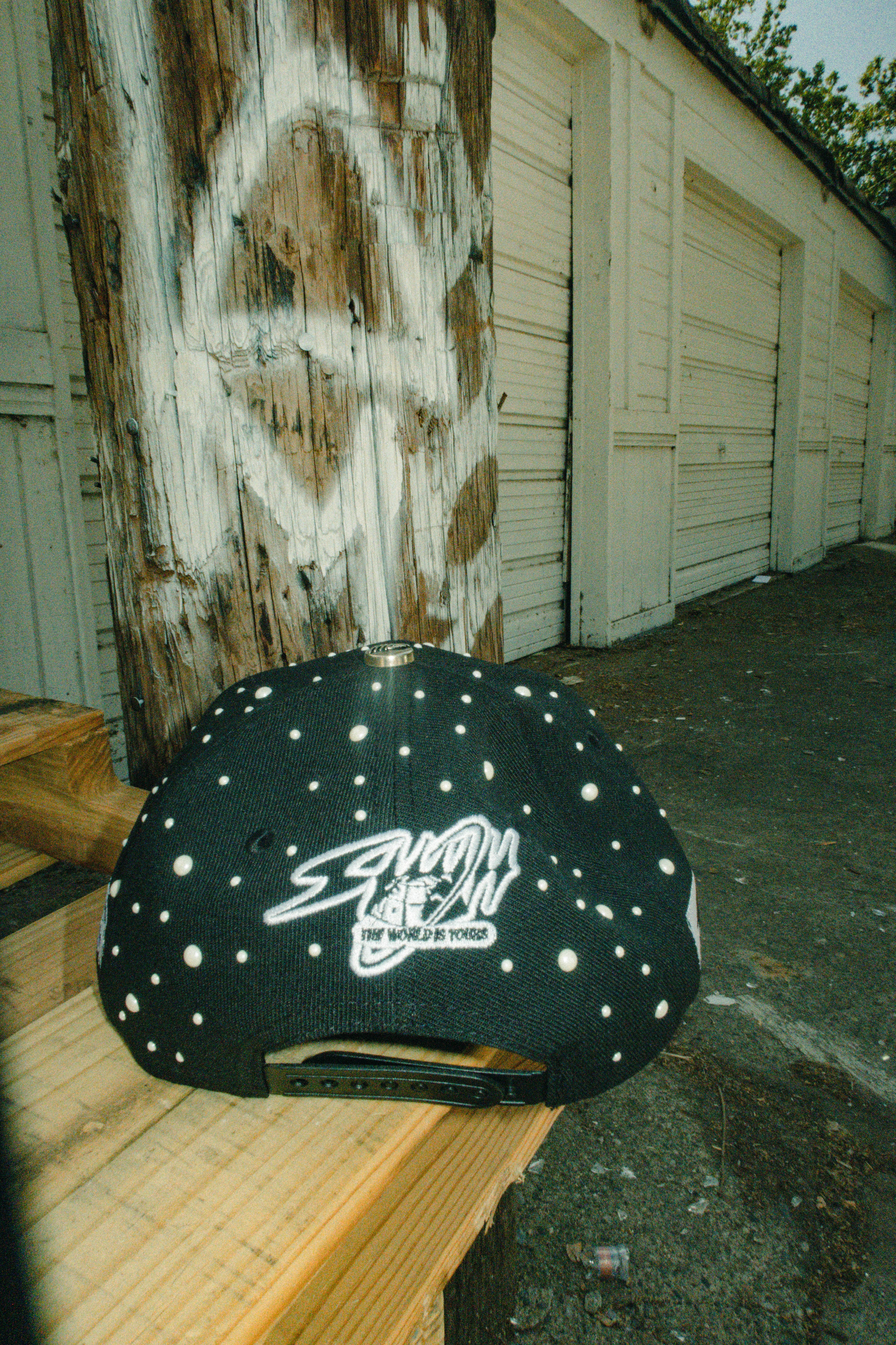 The World Is Yours Hats