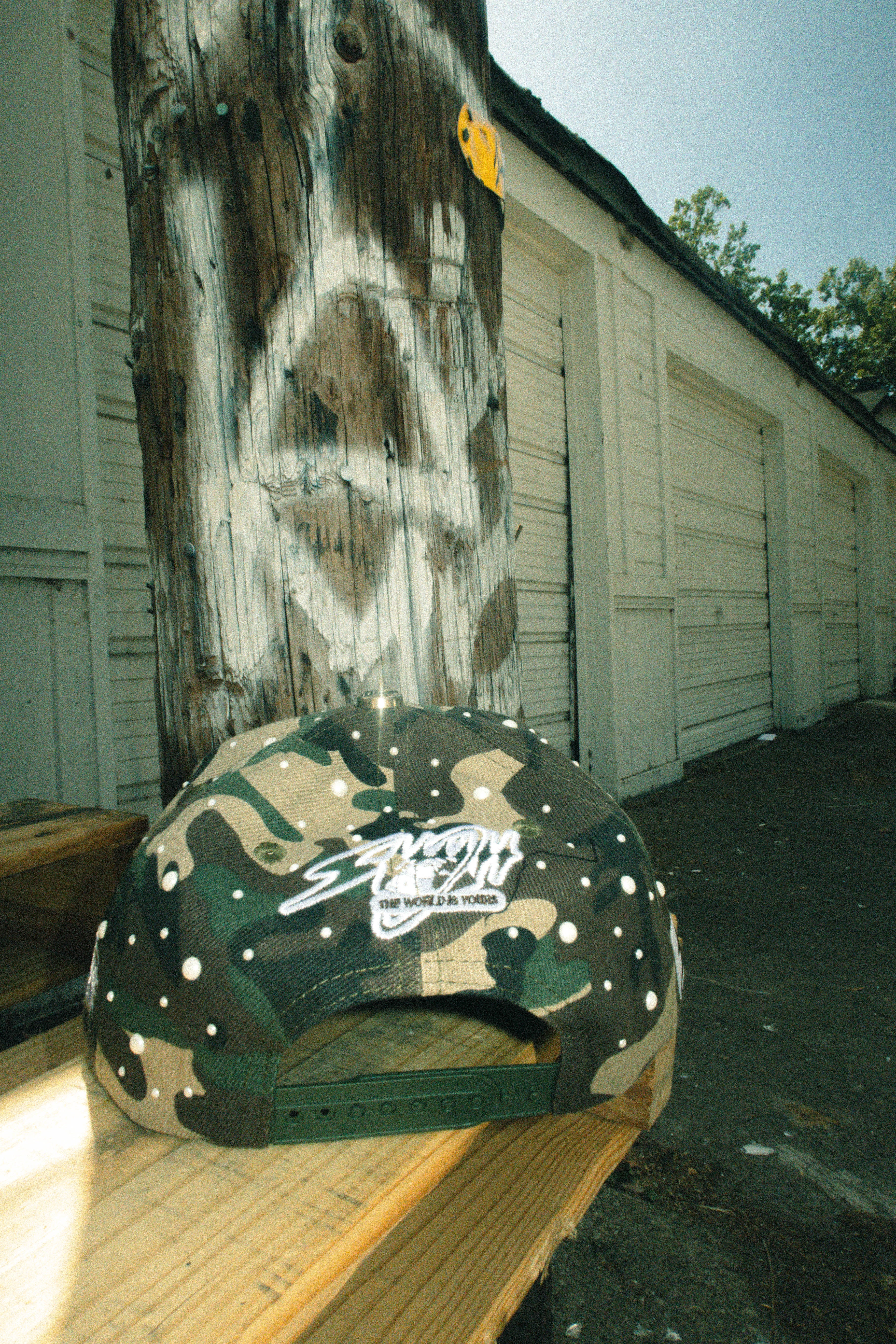 The World Is Yours Hats