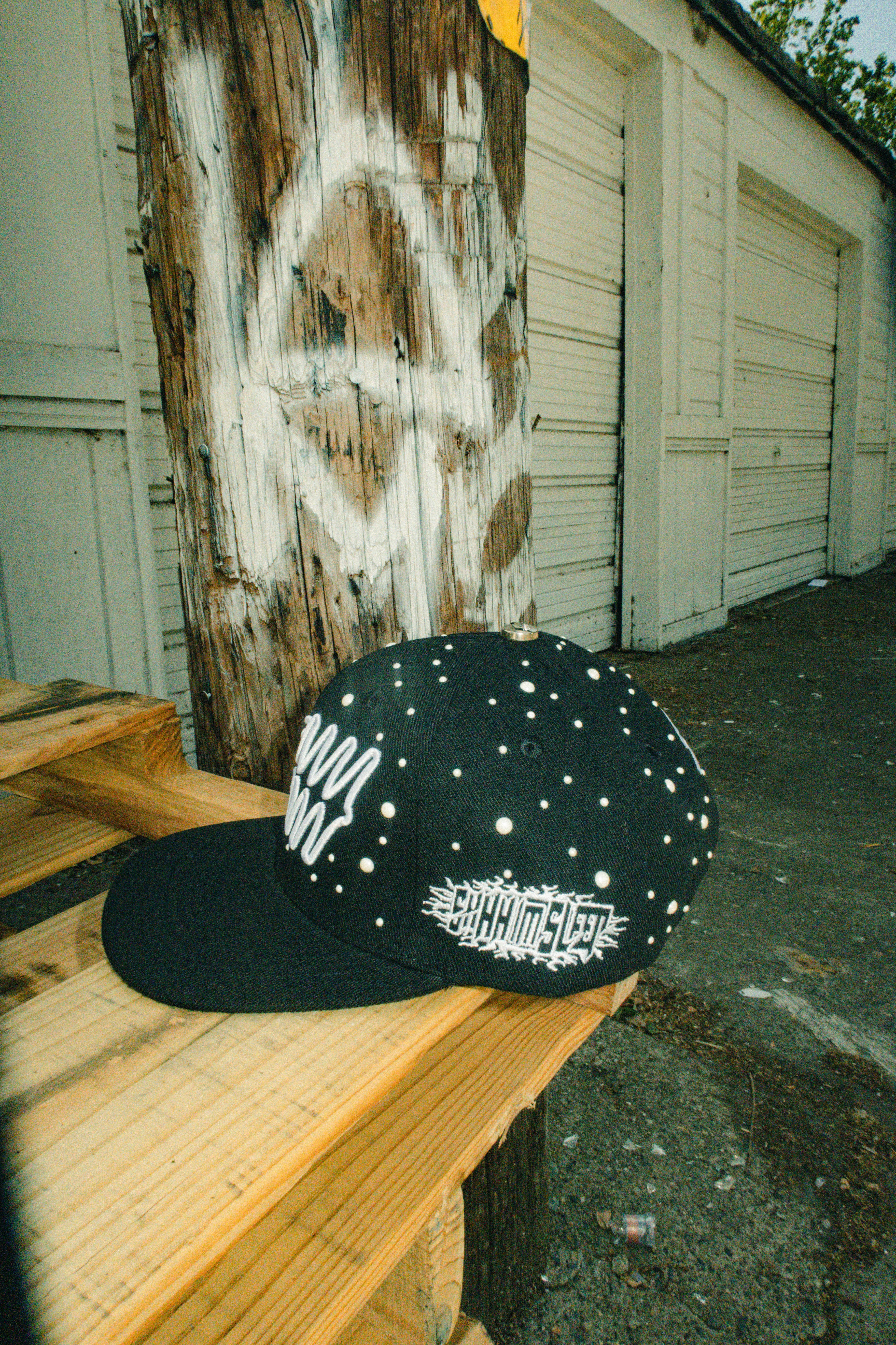 The World Is Yours Hats
