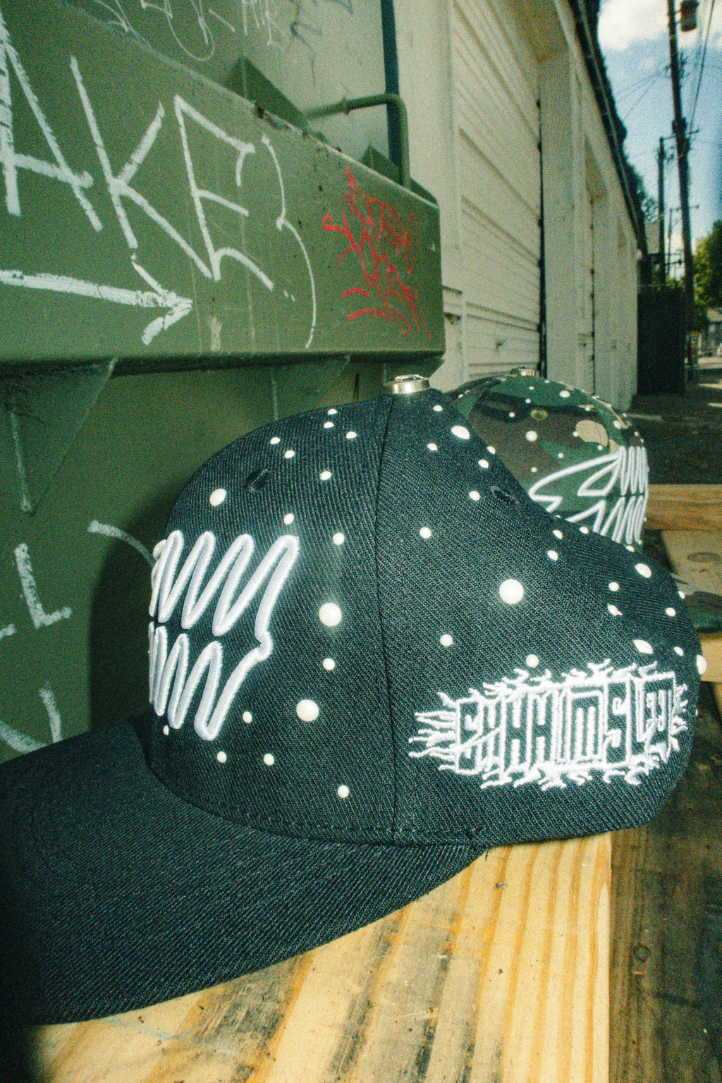The World Is Yours Hats