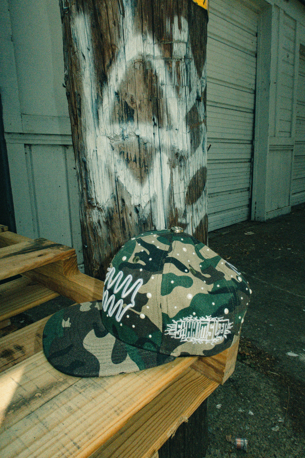 The World Is Yours Hats